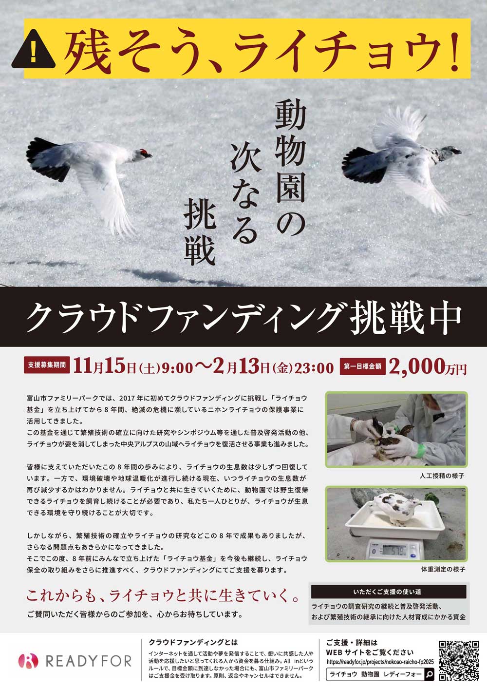 ライチョウ クラウドファンディング チラシ-表