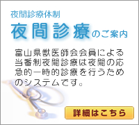 夜間診療のご案内